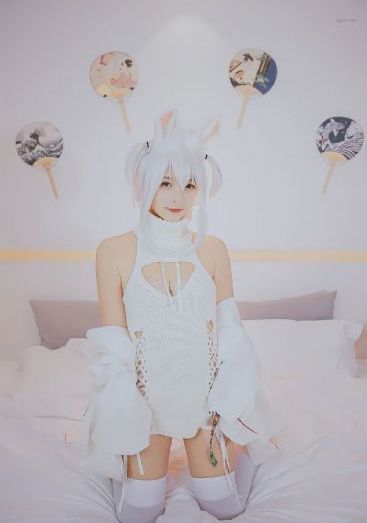 午夜高清免费视频
