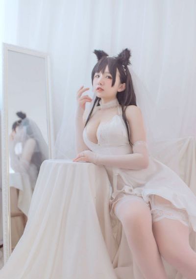 藏海花电视剧在线播放