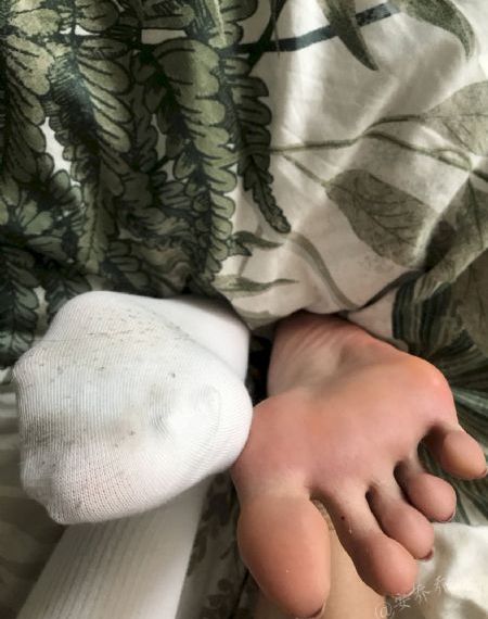 2炮手电视剧全集完整版免费观看
