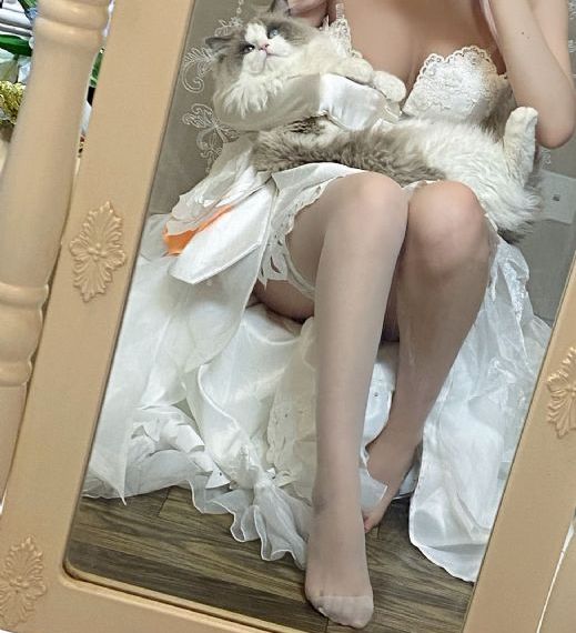 芝麻胡同全集免费观看完整版