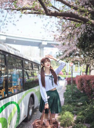动物胶配方高清免费