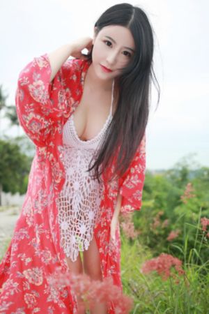 陆贞传奇电视剧在线观看免费全集