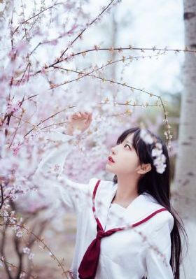 电视剧 在线观看
