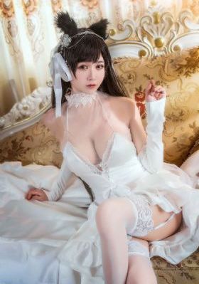电影本能